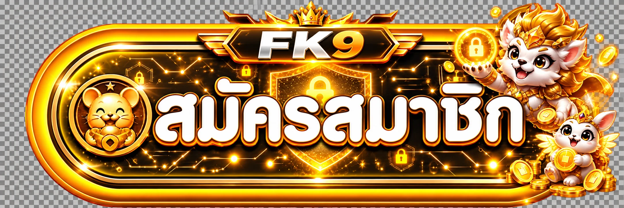 แบนเนอร์ FK9 ทางเข้าและการตรวจโดเมน